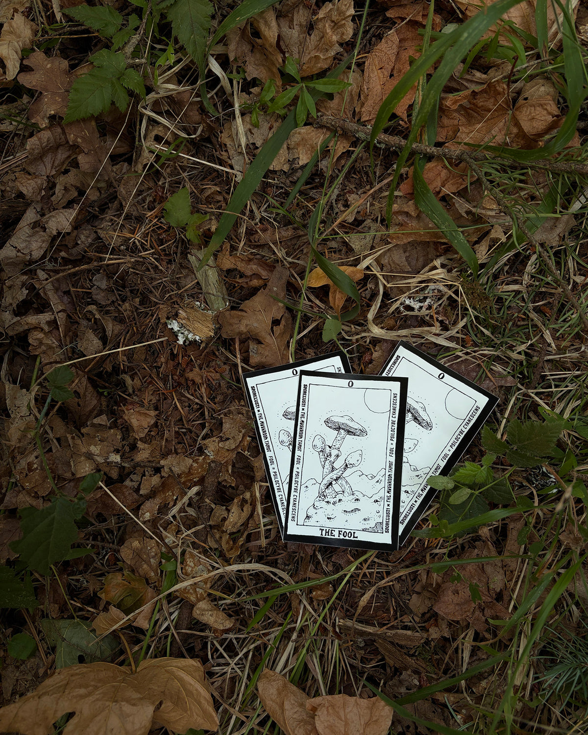 The Mushroom Tarot Fool Card Sticker