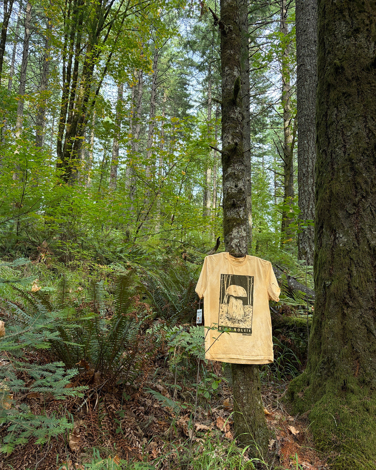 King Bolete T-Shirt, Limited Organic Cotton Tub Dye