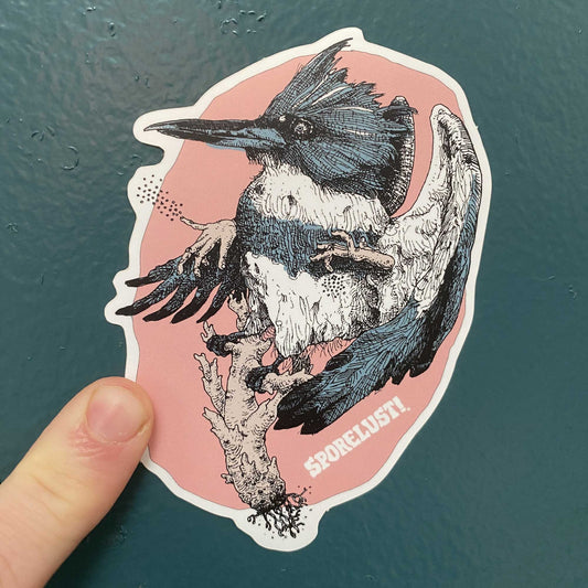 Kingfisher & Coral Mushroom Sticker
