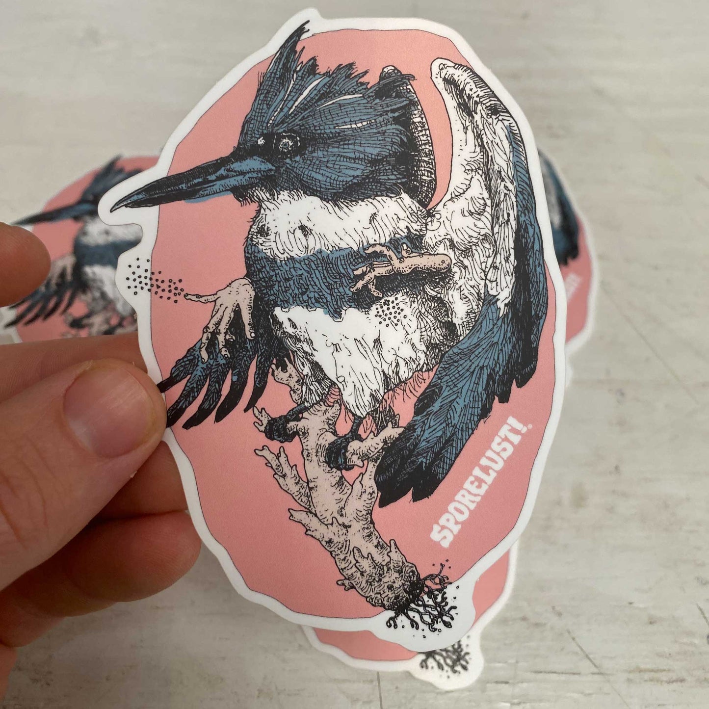 Kingfisher & Coral Mushroom Sticker