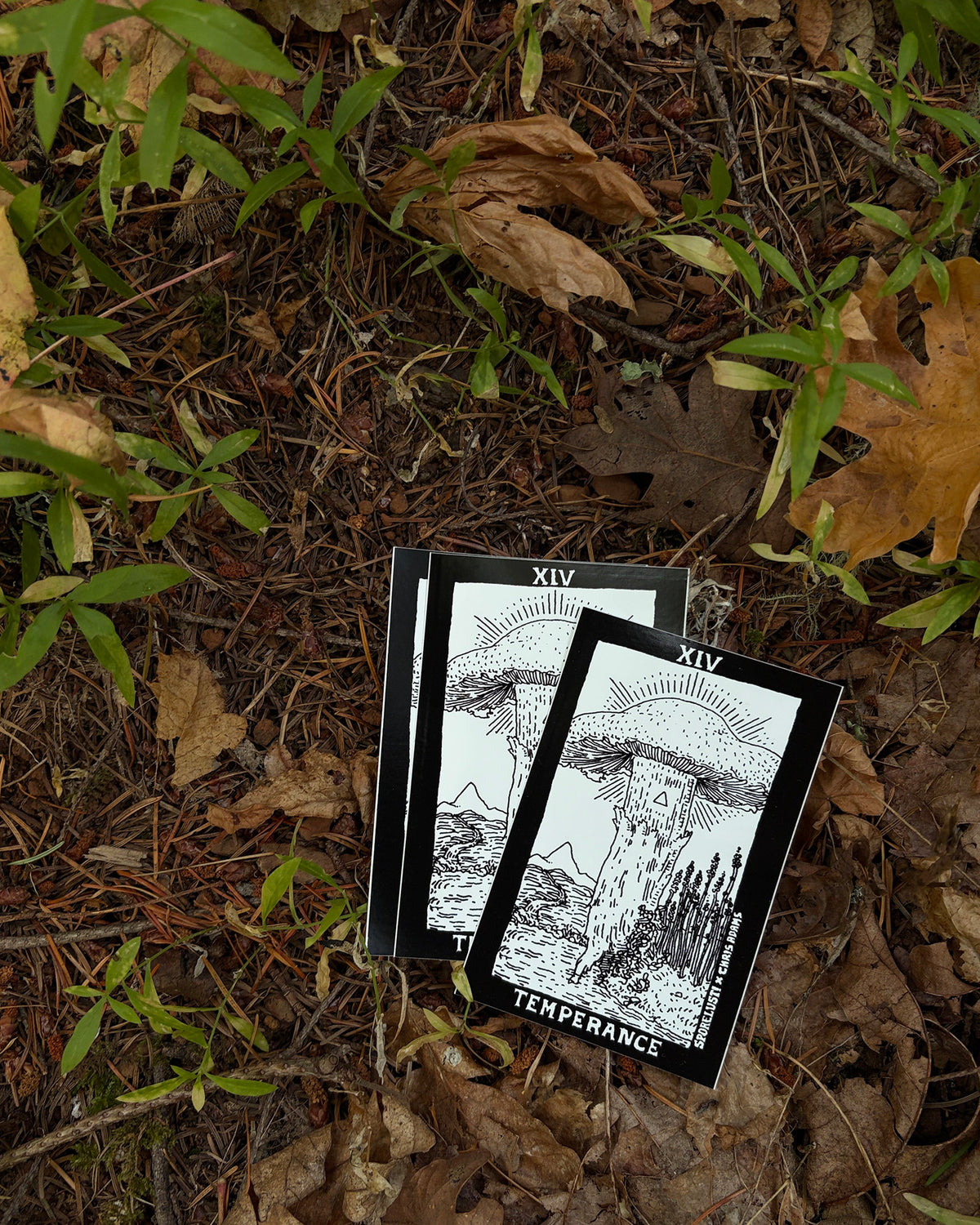 The Mushroom Tarot Temperance Card Sticker