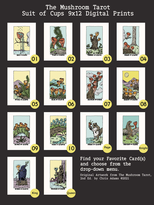 Suit of Cups Digital Art Print from The Mushroom Tarot