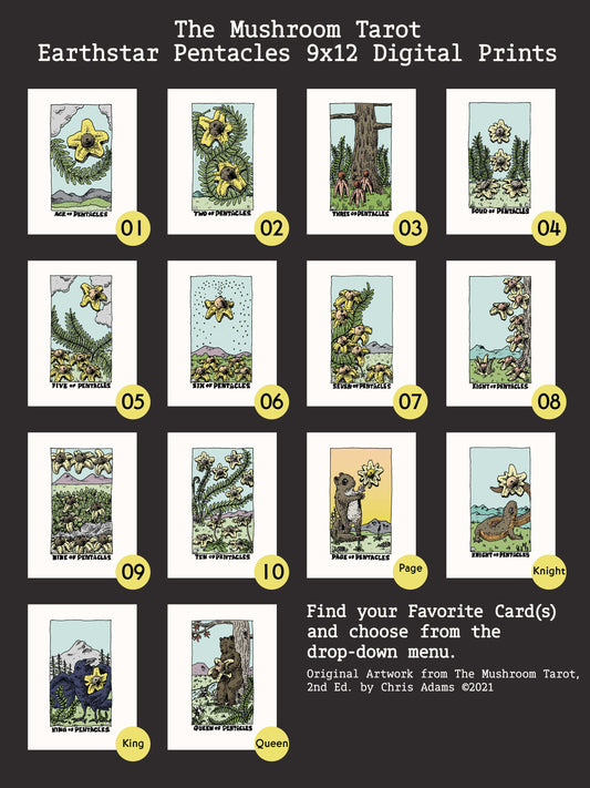 Earthstar Pentacles Digital Art Print from The Mushroom Tarot