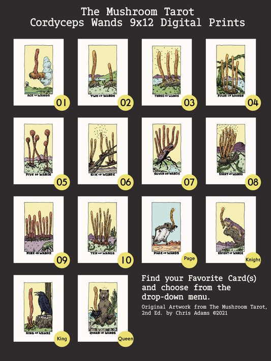 Cordyceps Wands Digital Art Print from The Mushroom Tarot