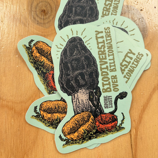 Biodiversity AND Boletes Multipack Mushroom Stickers