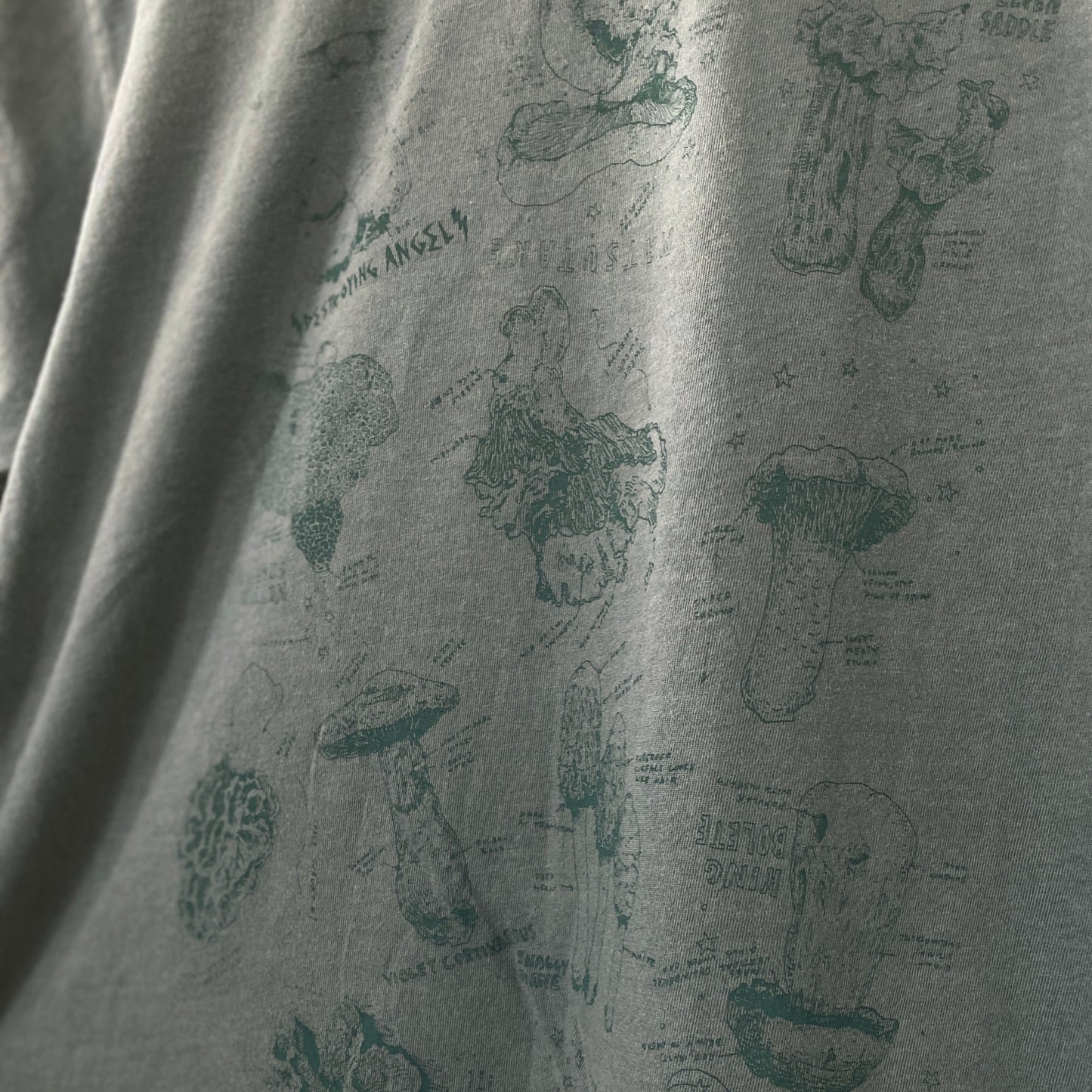 Field Notes Mushroom Tee, Green and Green Organic Cotton