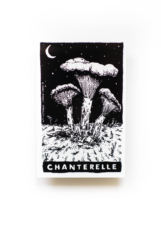 Classic Chanterelle Tarot Sticker