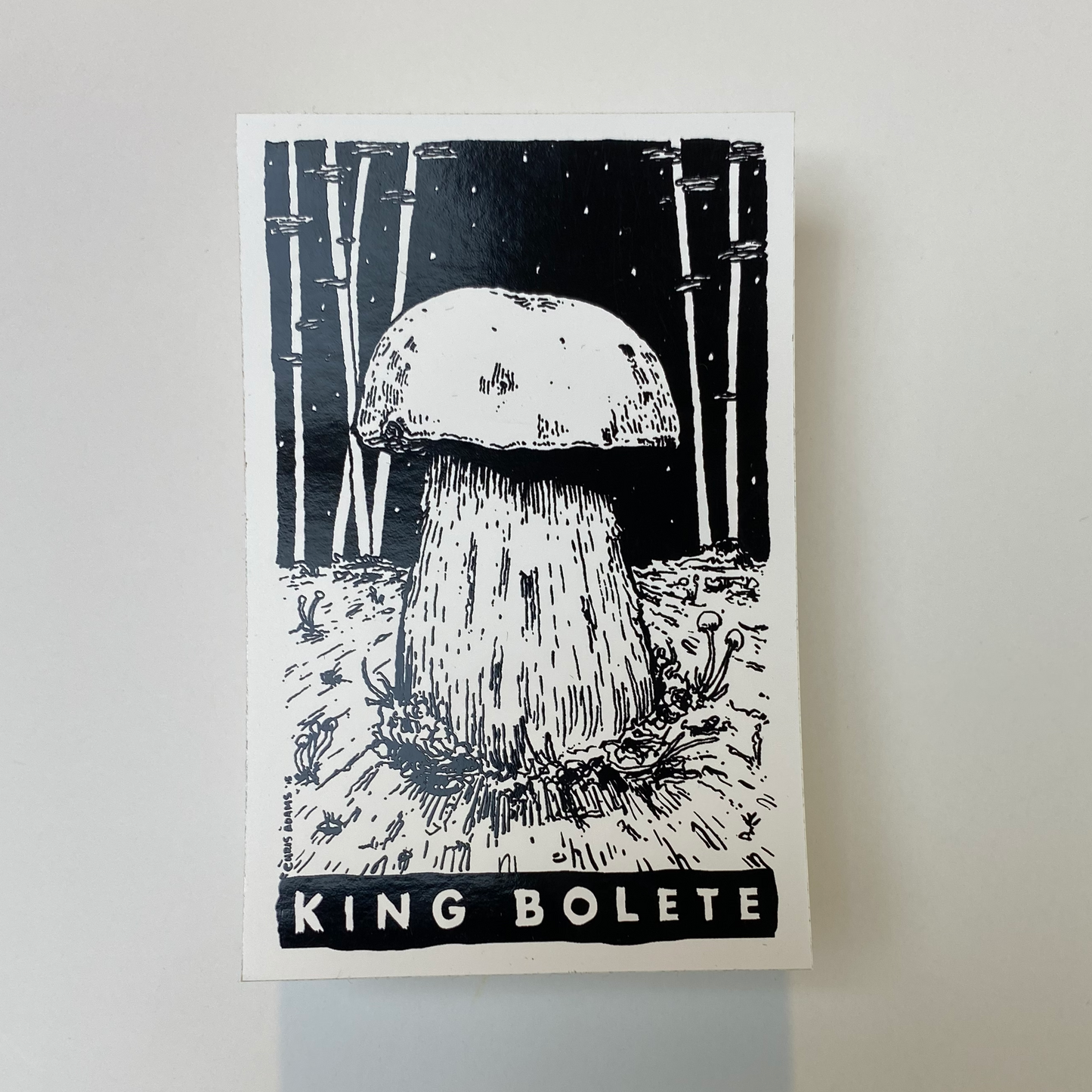 Classic King Bolete Tarot Sticker