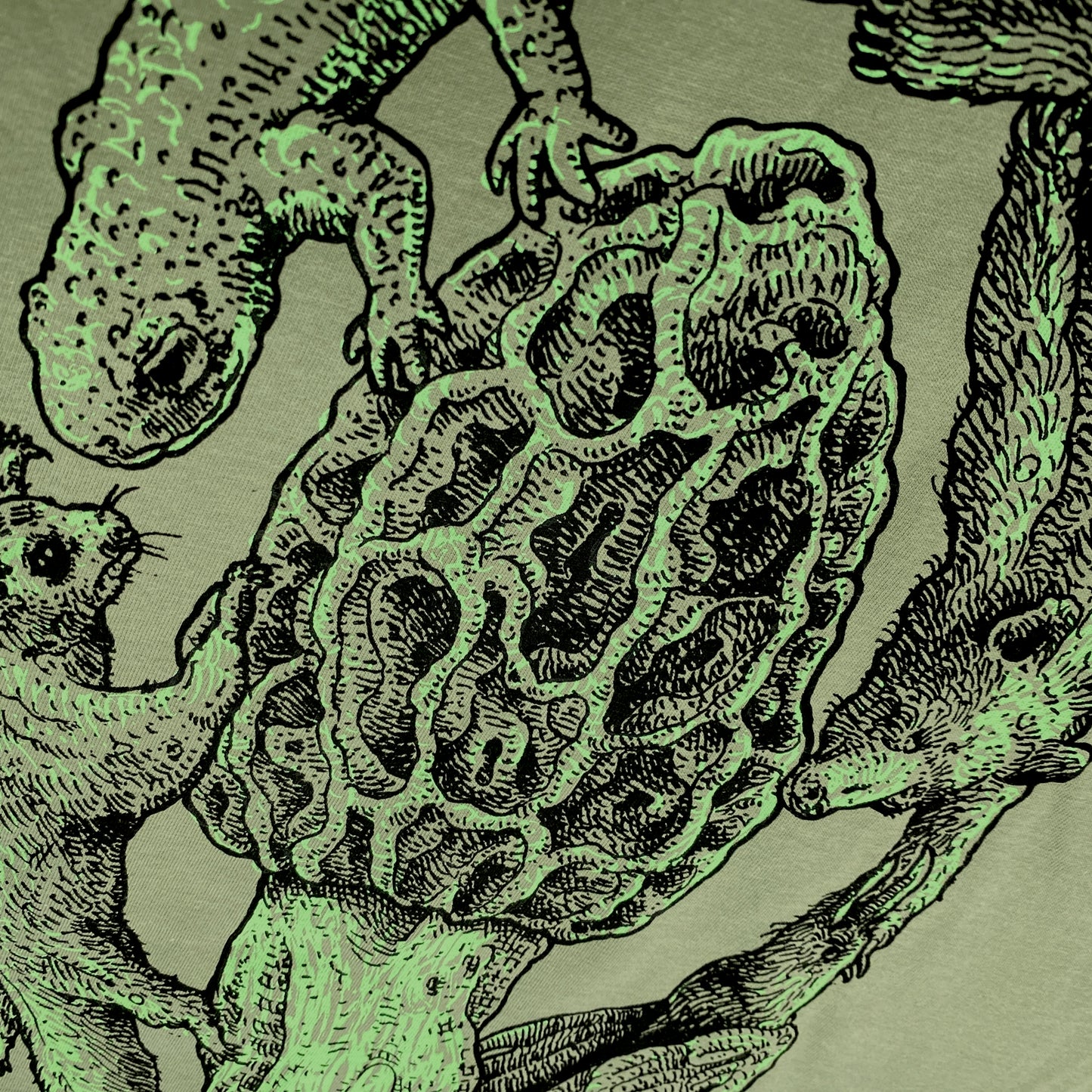 Court Morel Animals & Mushroom T-Shirt, Olive Organic Cotton