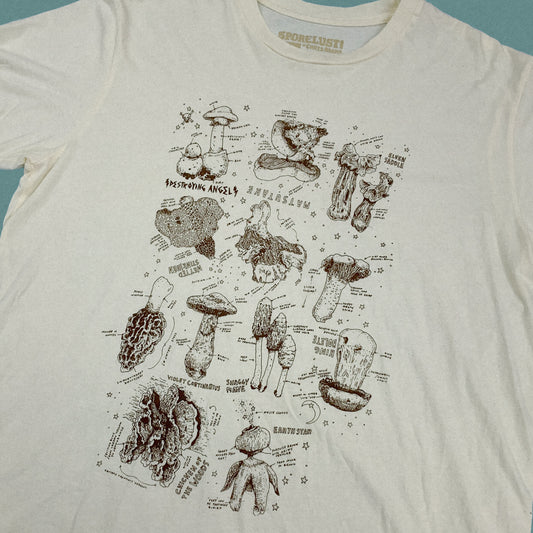 Field Notes Tee, Cream Organic Cotton