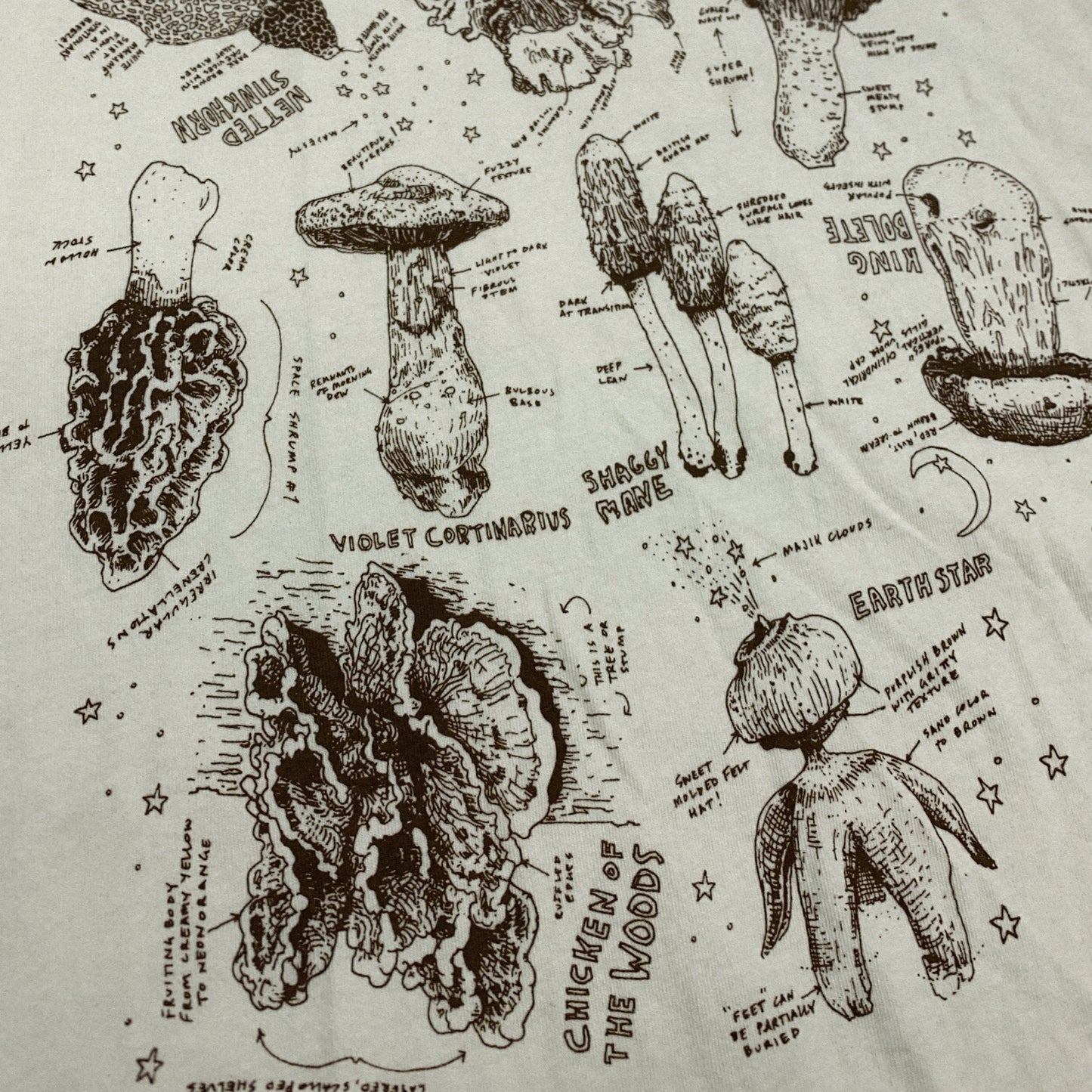 Field Notes Tee, Cream Organic Cotton