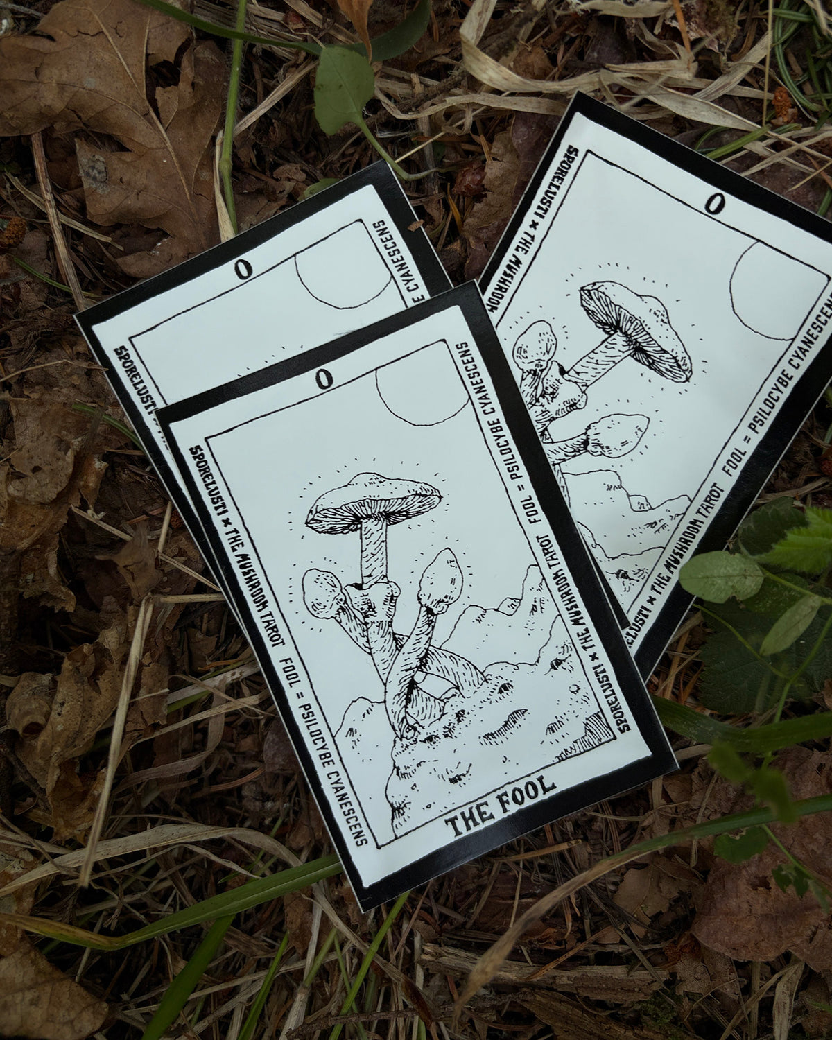 The Mushroom Tarot Fool Card Sticker