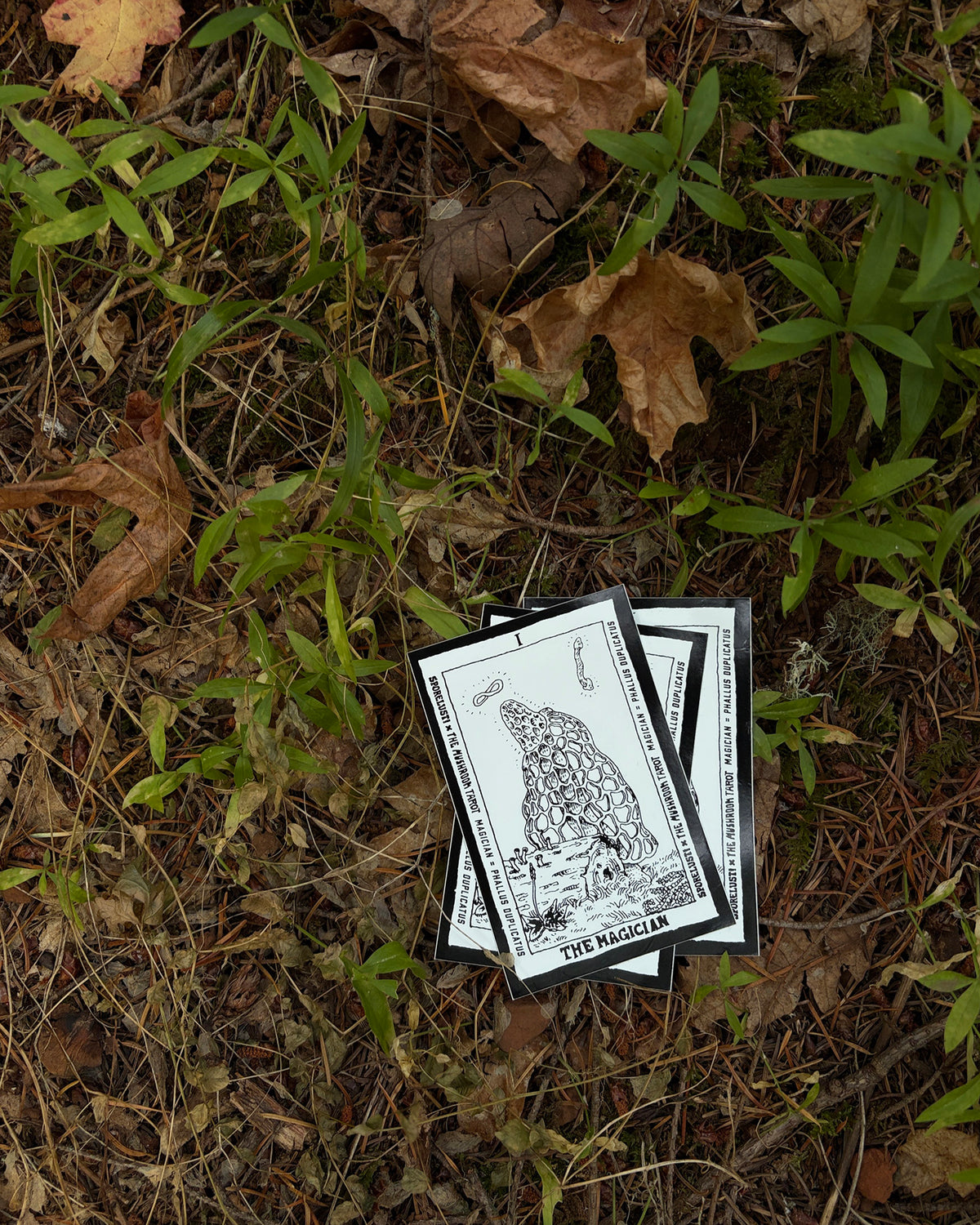 The Mushroom Tarot Magician Card Sticker