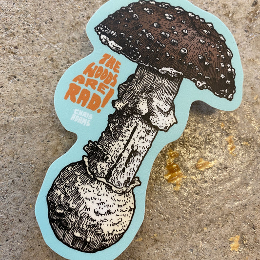 The Woods Are Rad Panther Amanita Sticker