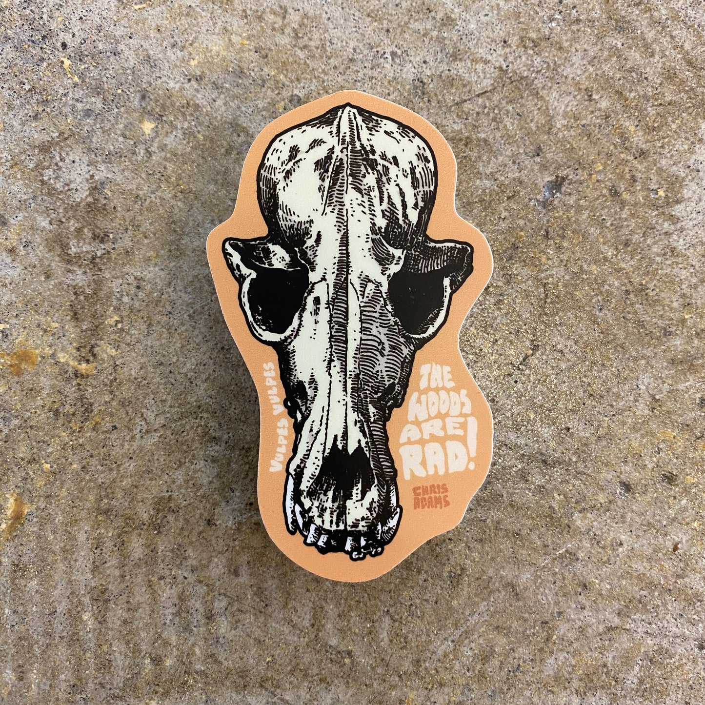 The Woods Are Rad Fox Skull Sticker