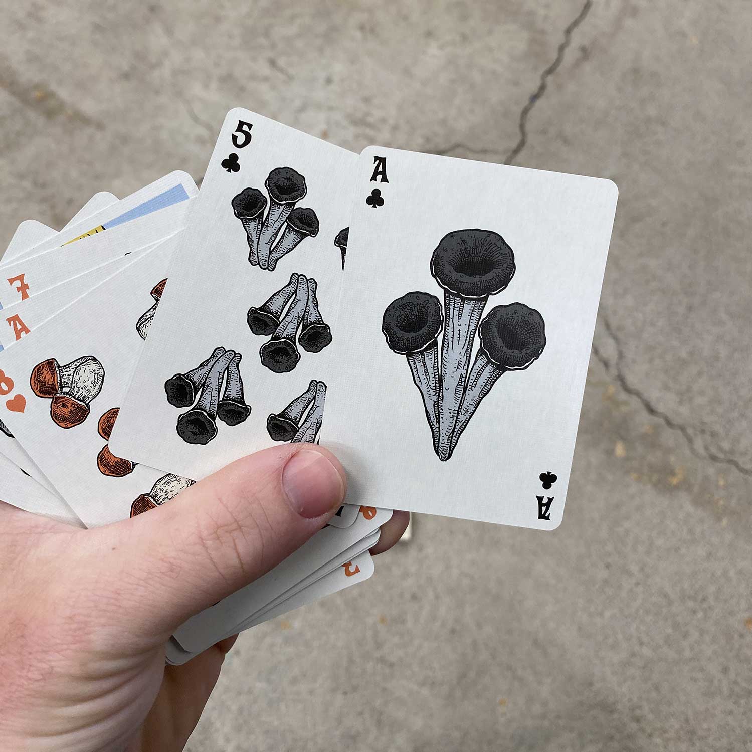 Holy Shrump! Mushroom Playing Cards: SINGLE DECK Holy Shrump! Mushroom Playing Cards: SINGLE DECK