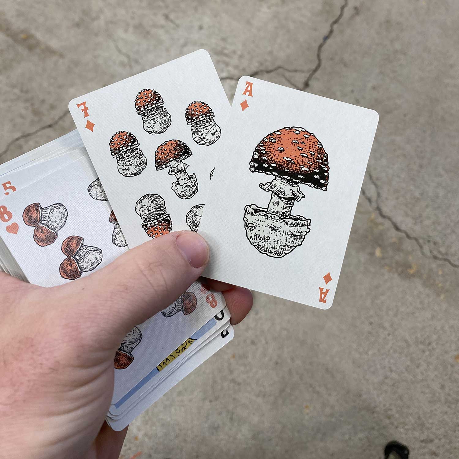 Holy Shrump! Mushroom Playing Cards: SINGLE DECK Holy Shrump! Mushroom Playing Cards: SINGLE DECK