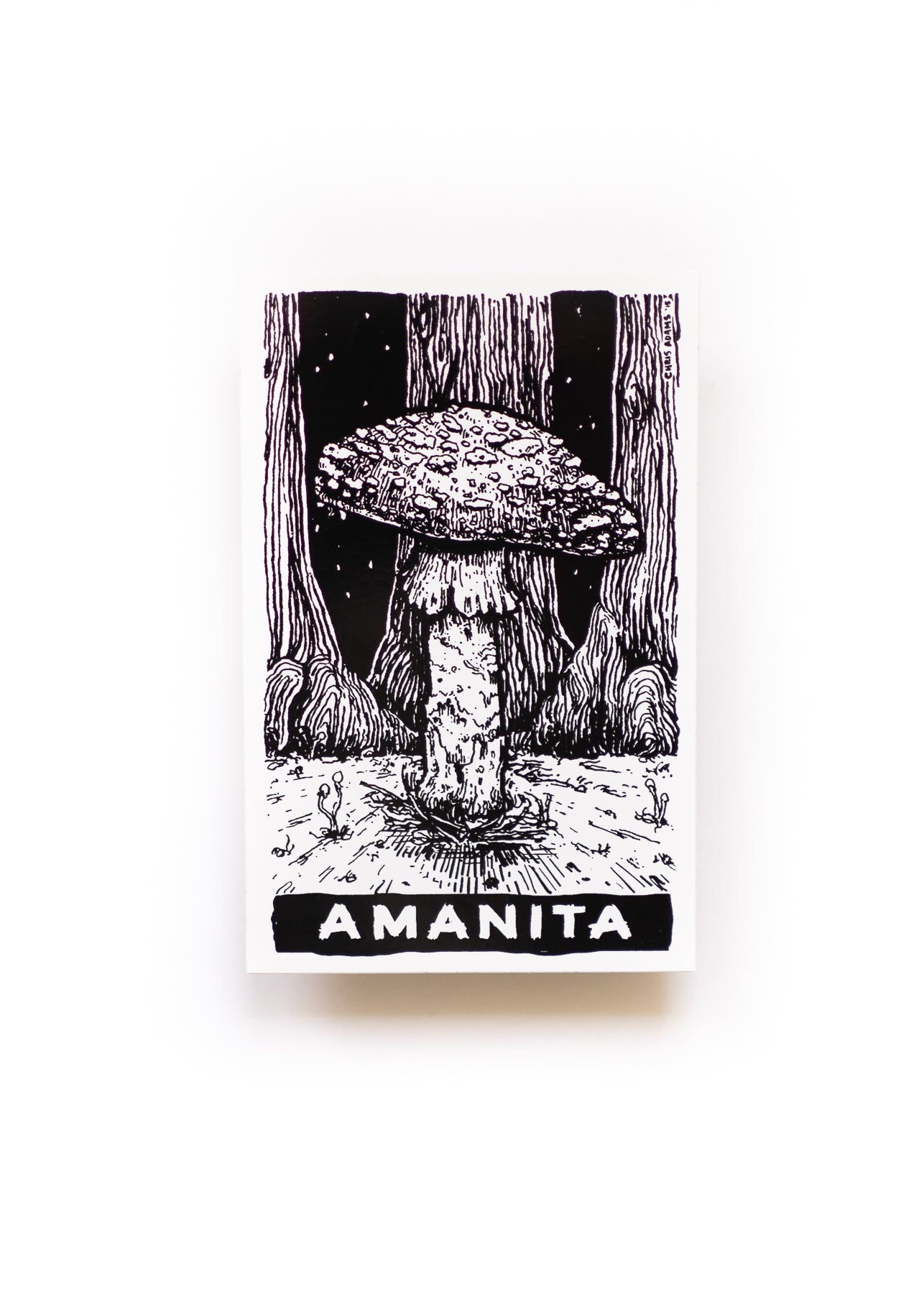 Classic Amanita Tarot Sticker