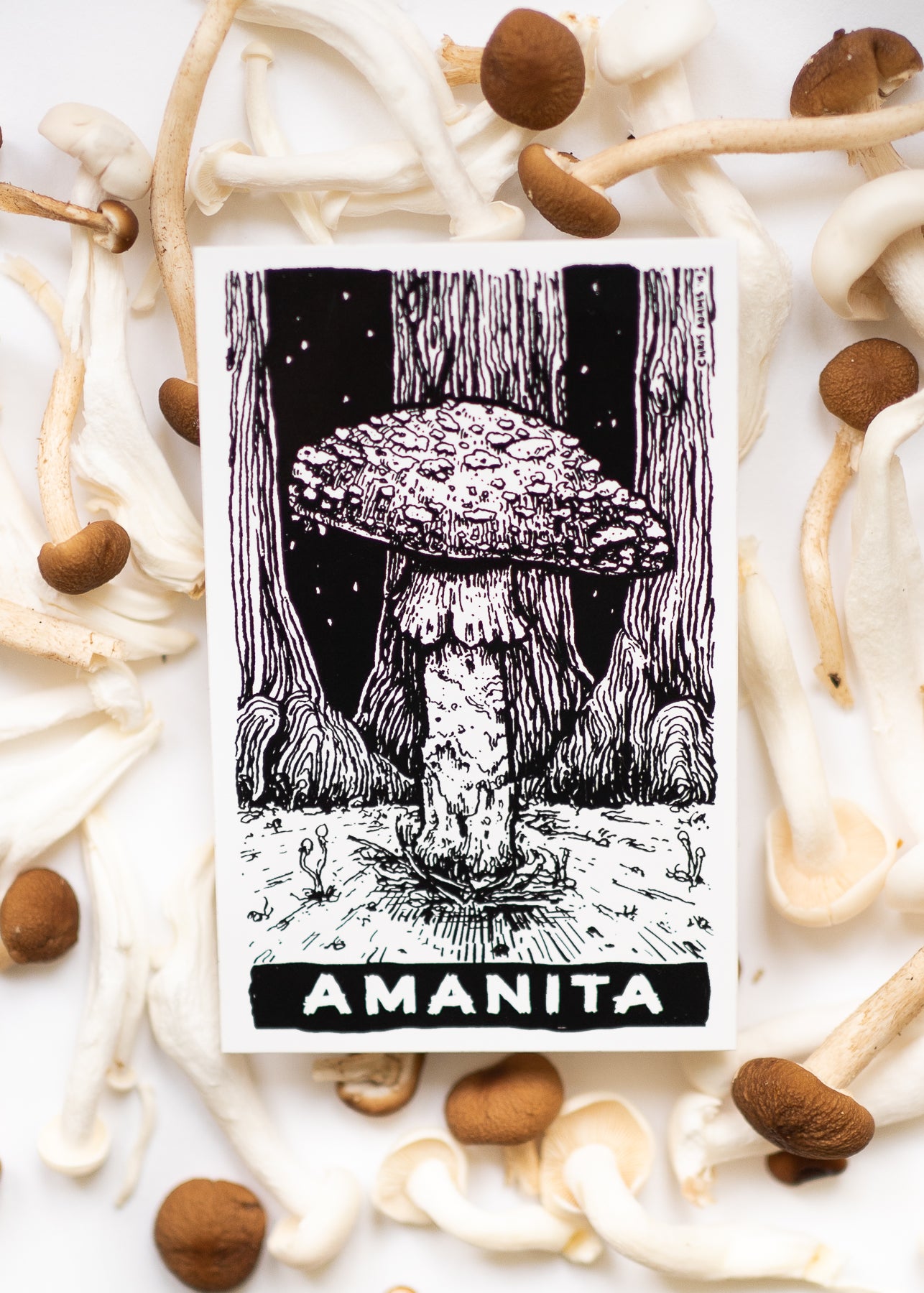 Classic Amanita Tarot Sticker