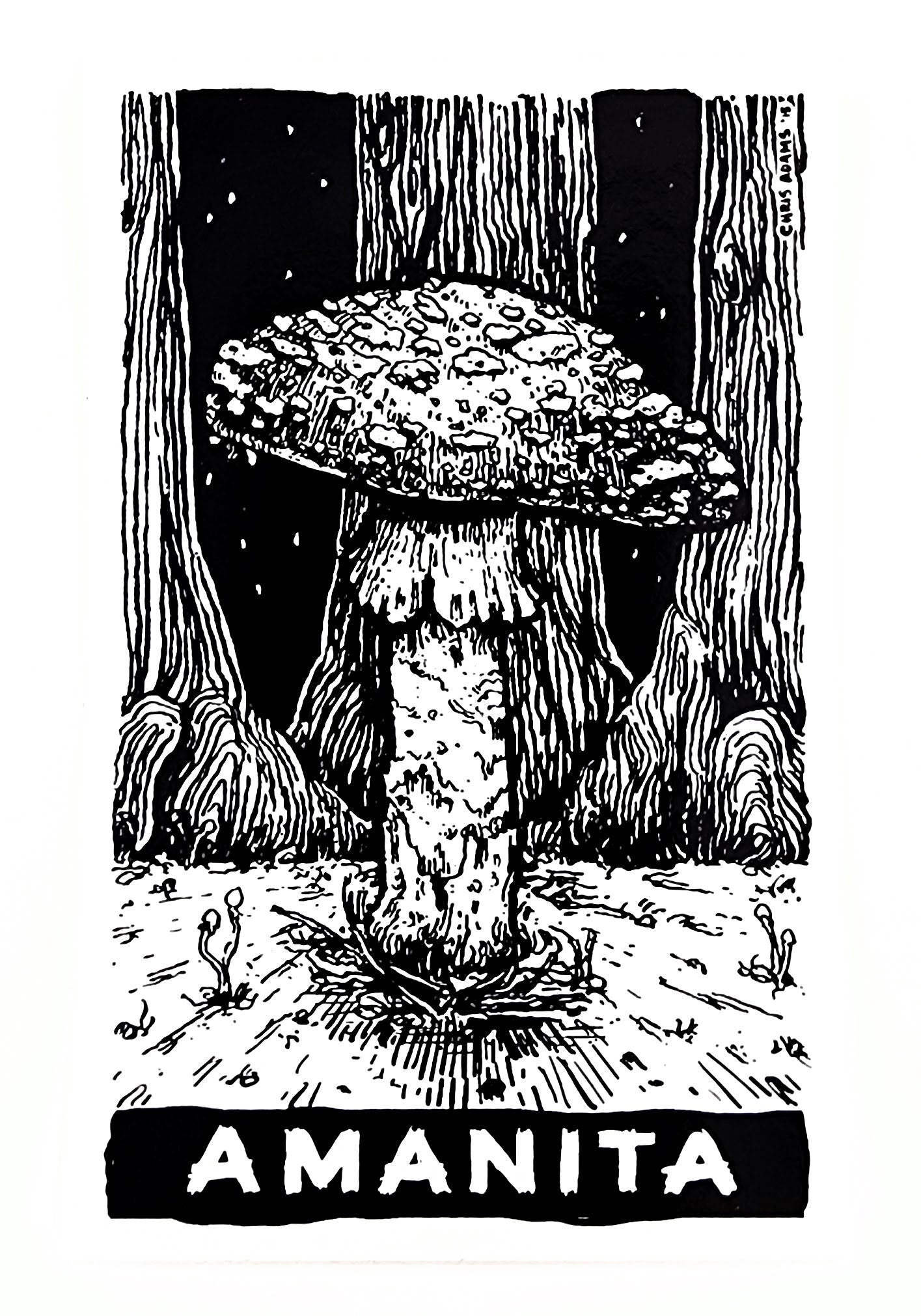 Classic Amanita Tarot Sticker