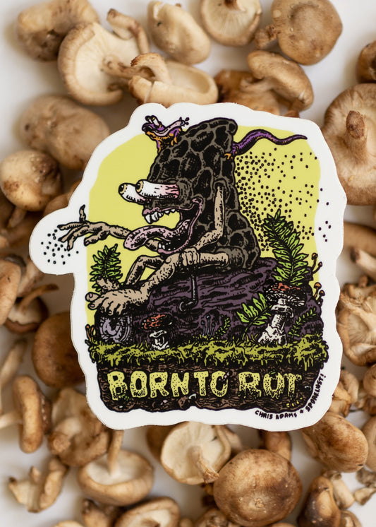 Born To Rot Sticker