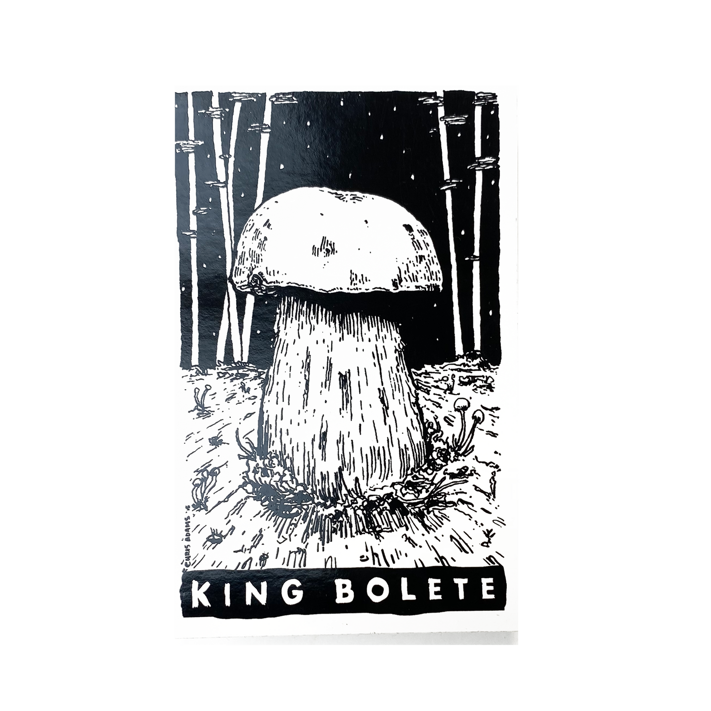 Classic King Bolete Tarot Sticker