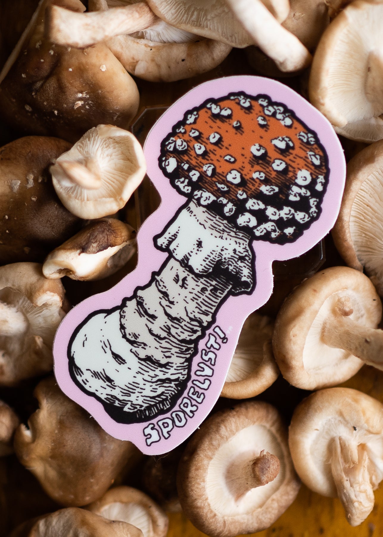 Amanita Die Cut Sticker