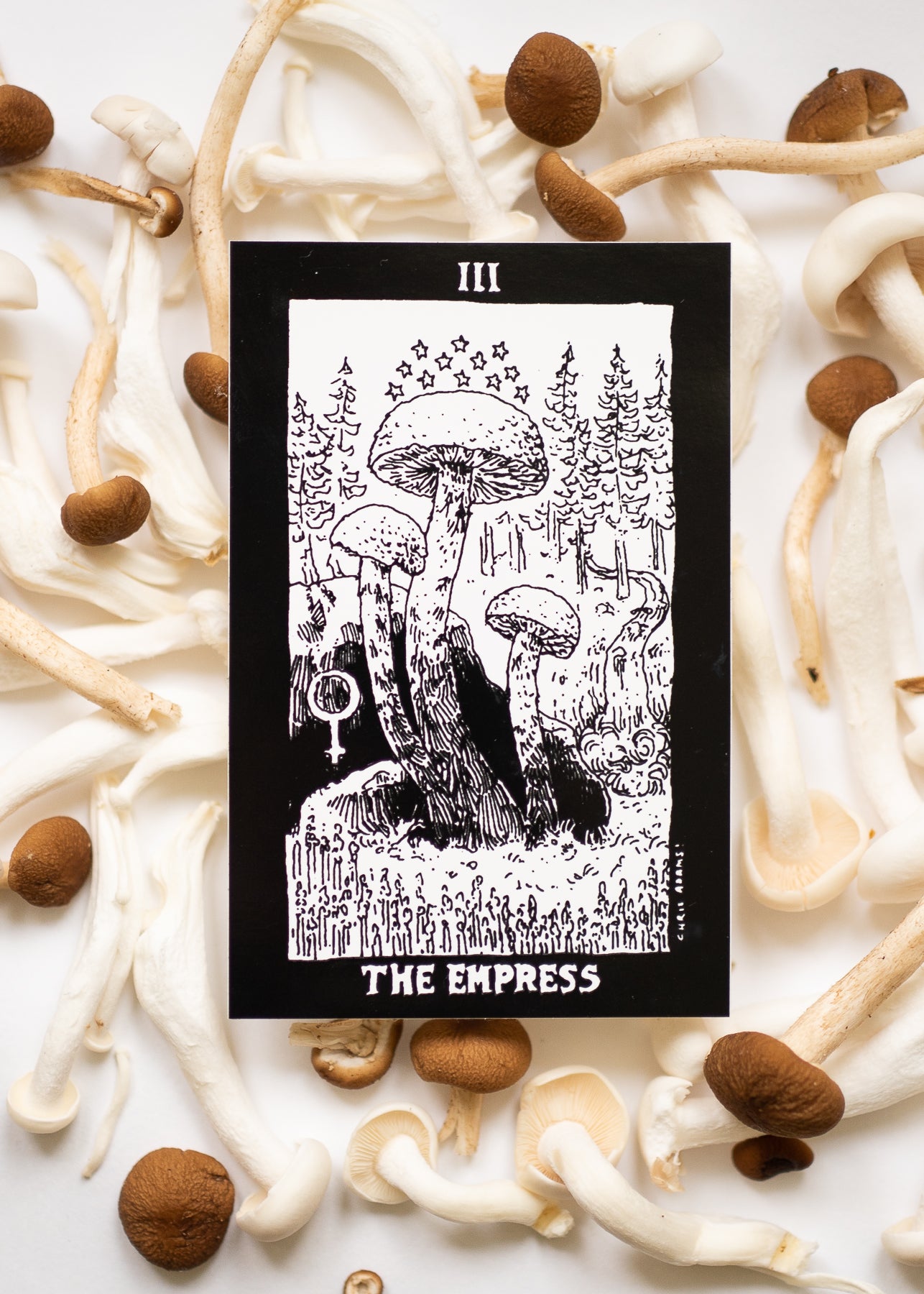 The Mushroom Tarot Empress Card Sticker