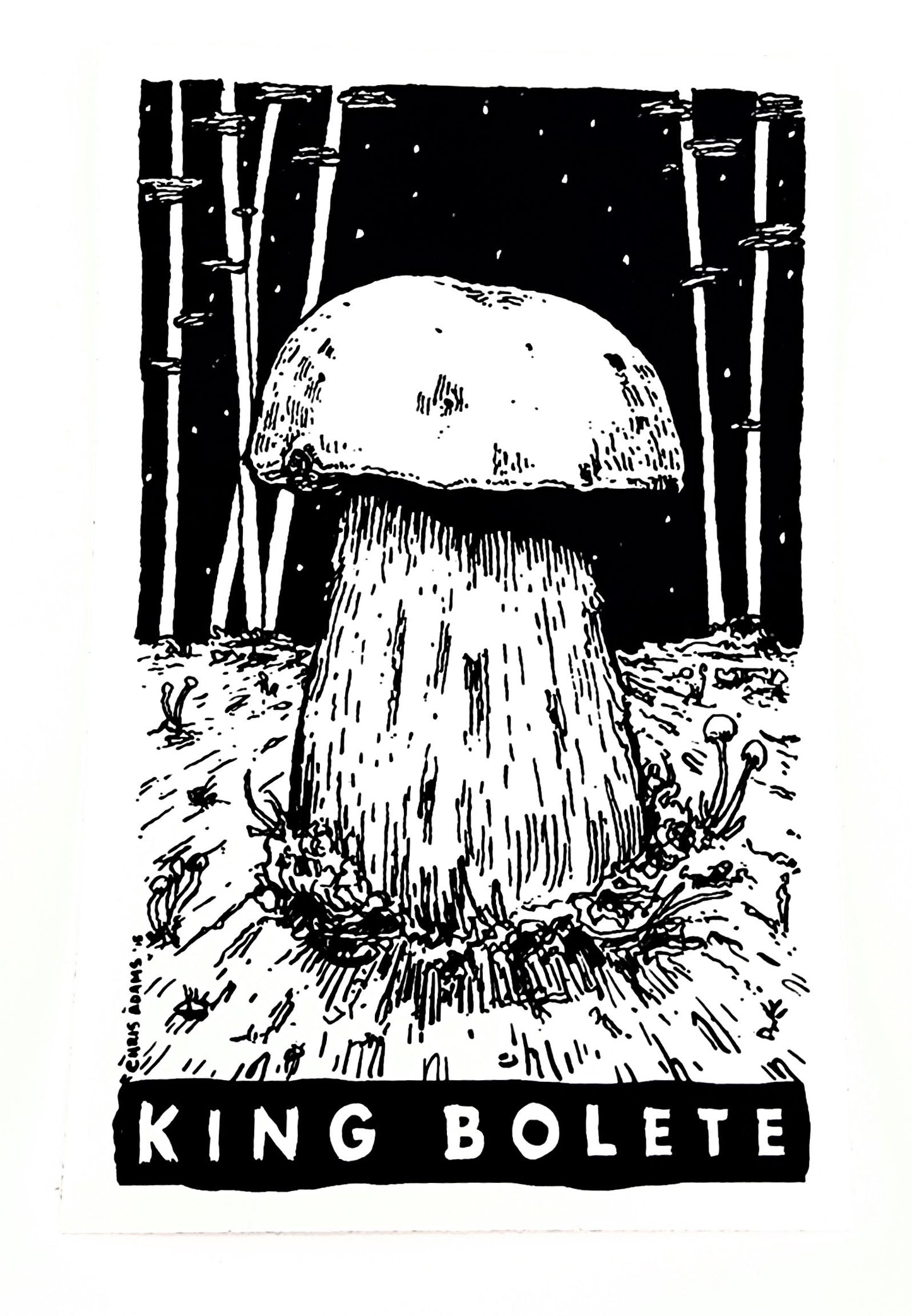 Classic King Bolete Tarot Sticker