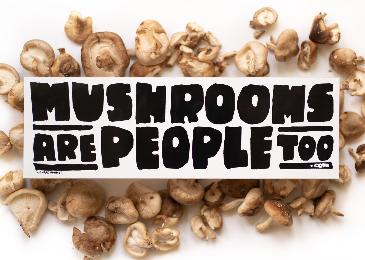 Mushrooms Are People Too Bumper Sticker