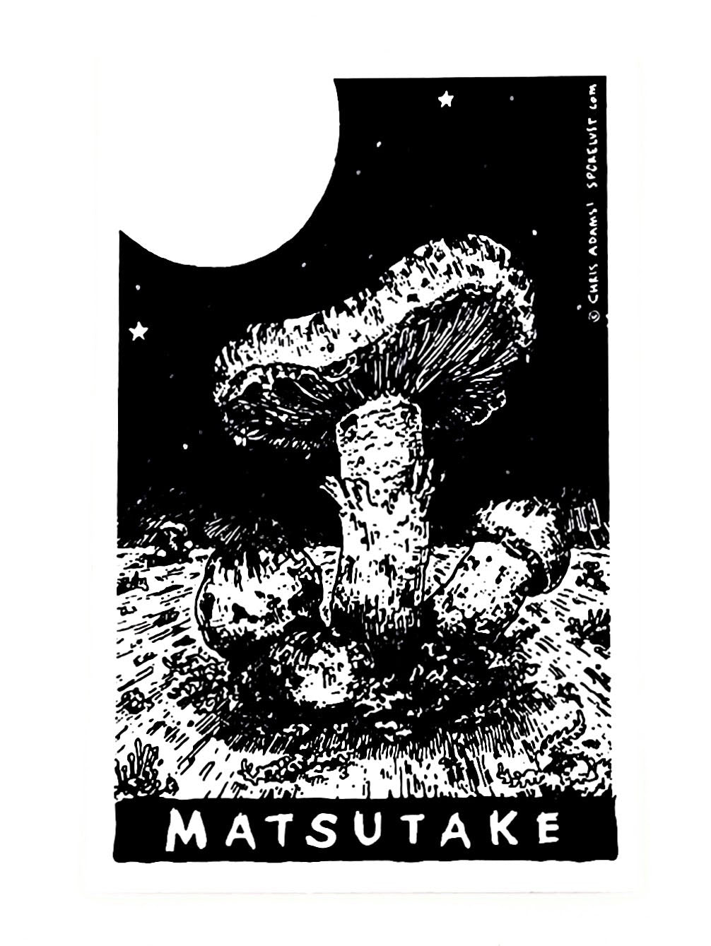 Classic Matsutake Tarot Sticker