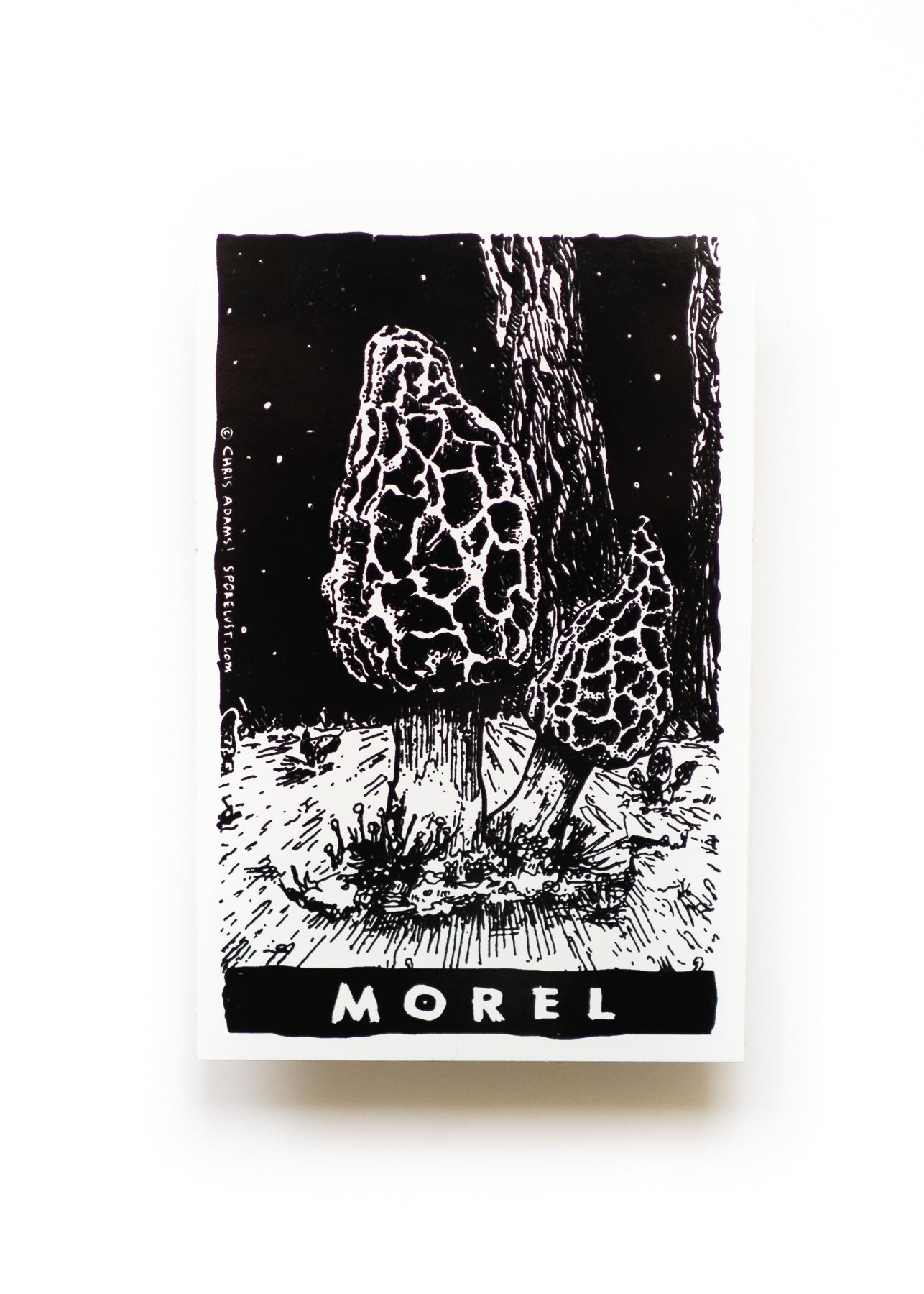 Classic Morel Tarot Sticker