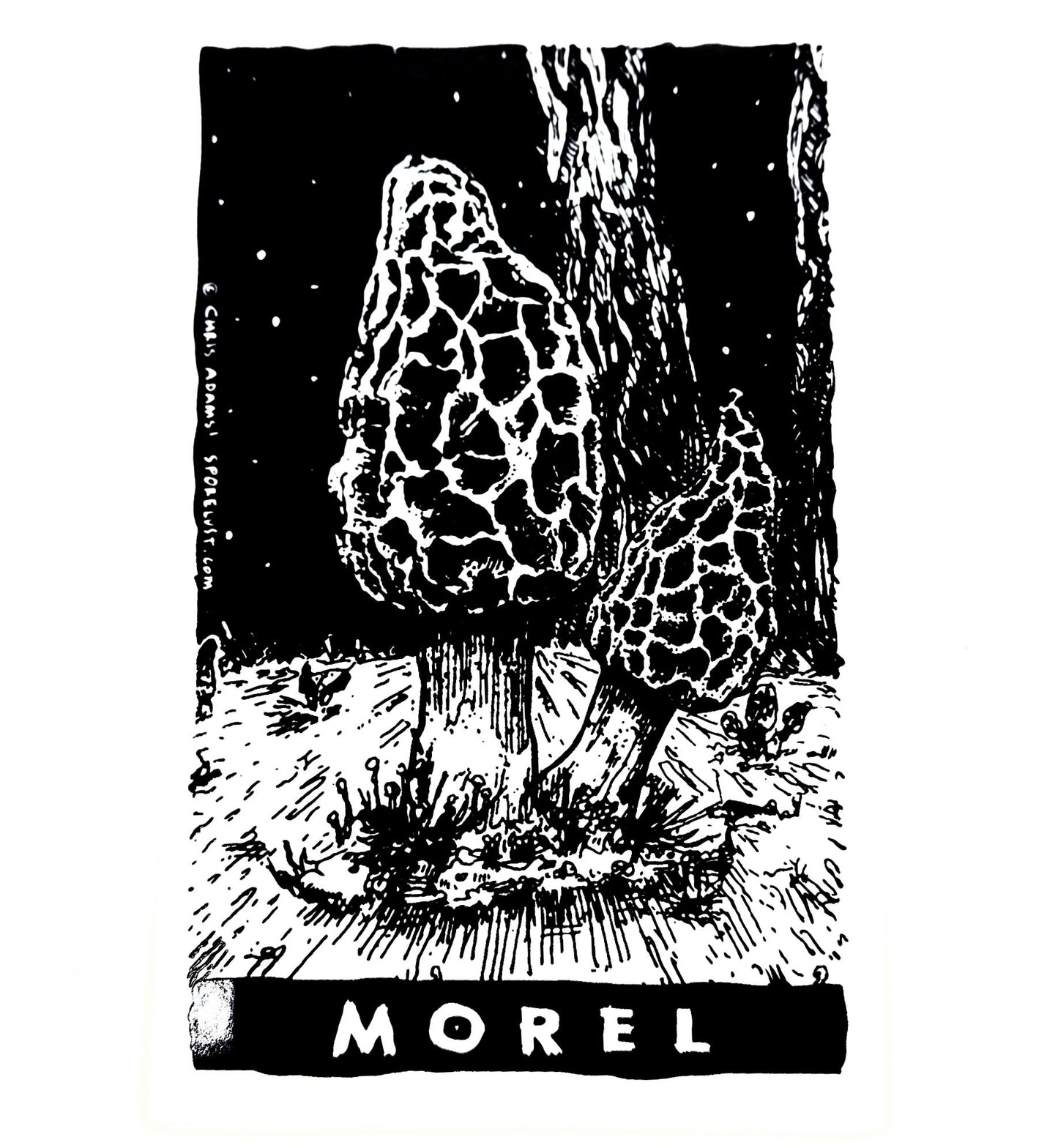 Classic Morel Tarot Sticker