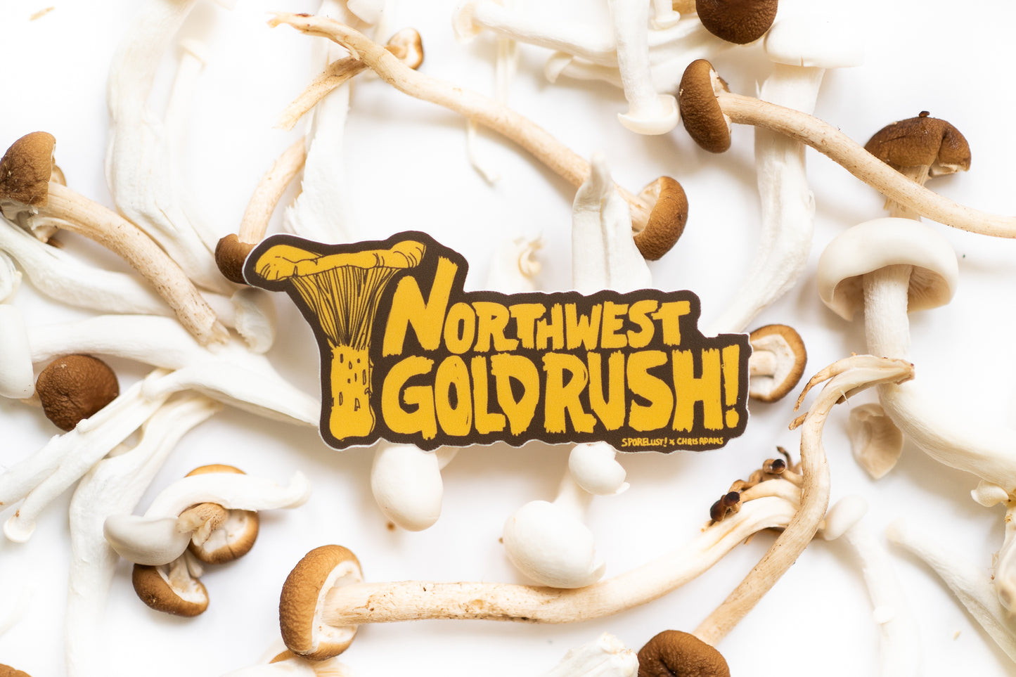 Northwest Gold Chanterelle Sticker