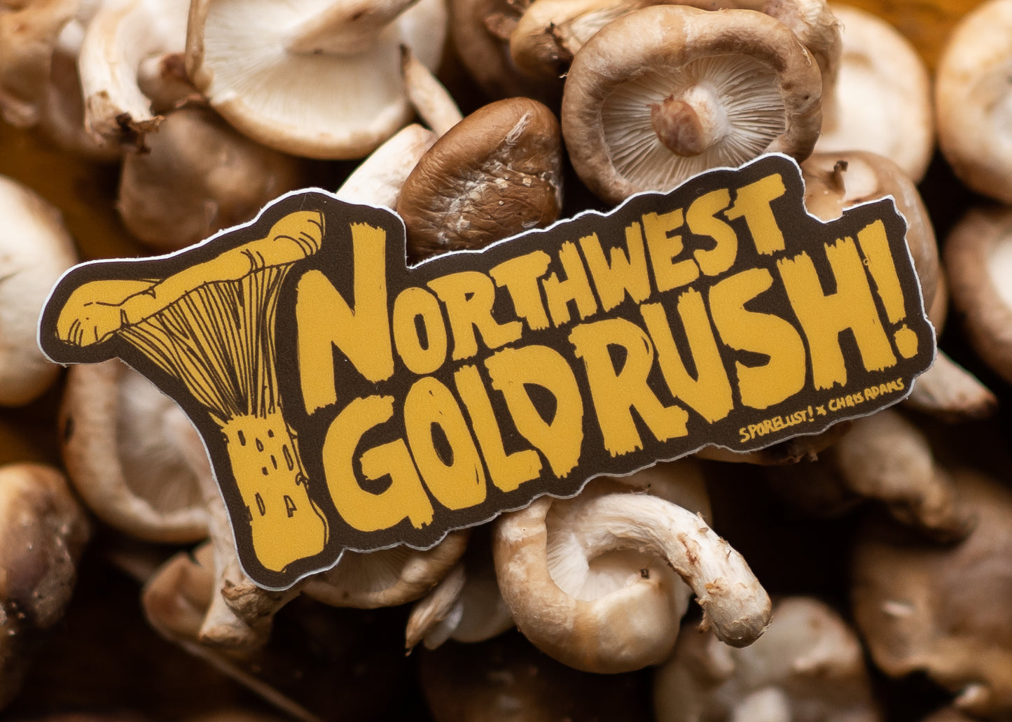 Northwest Gold Chanterelle Sticker