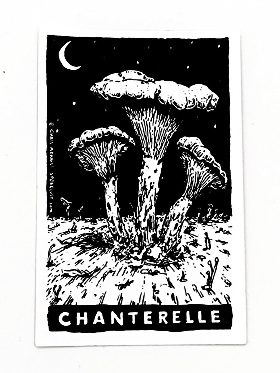 Classic Chanterelle Tarot Sticker